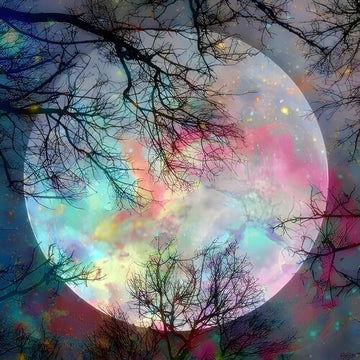 Diamond Paintings - Magical Moon