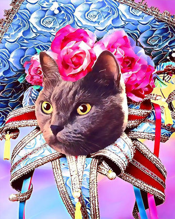 Paint by Numbers Kit - Mardigras Cat