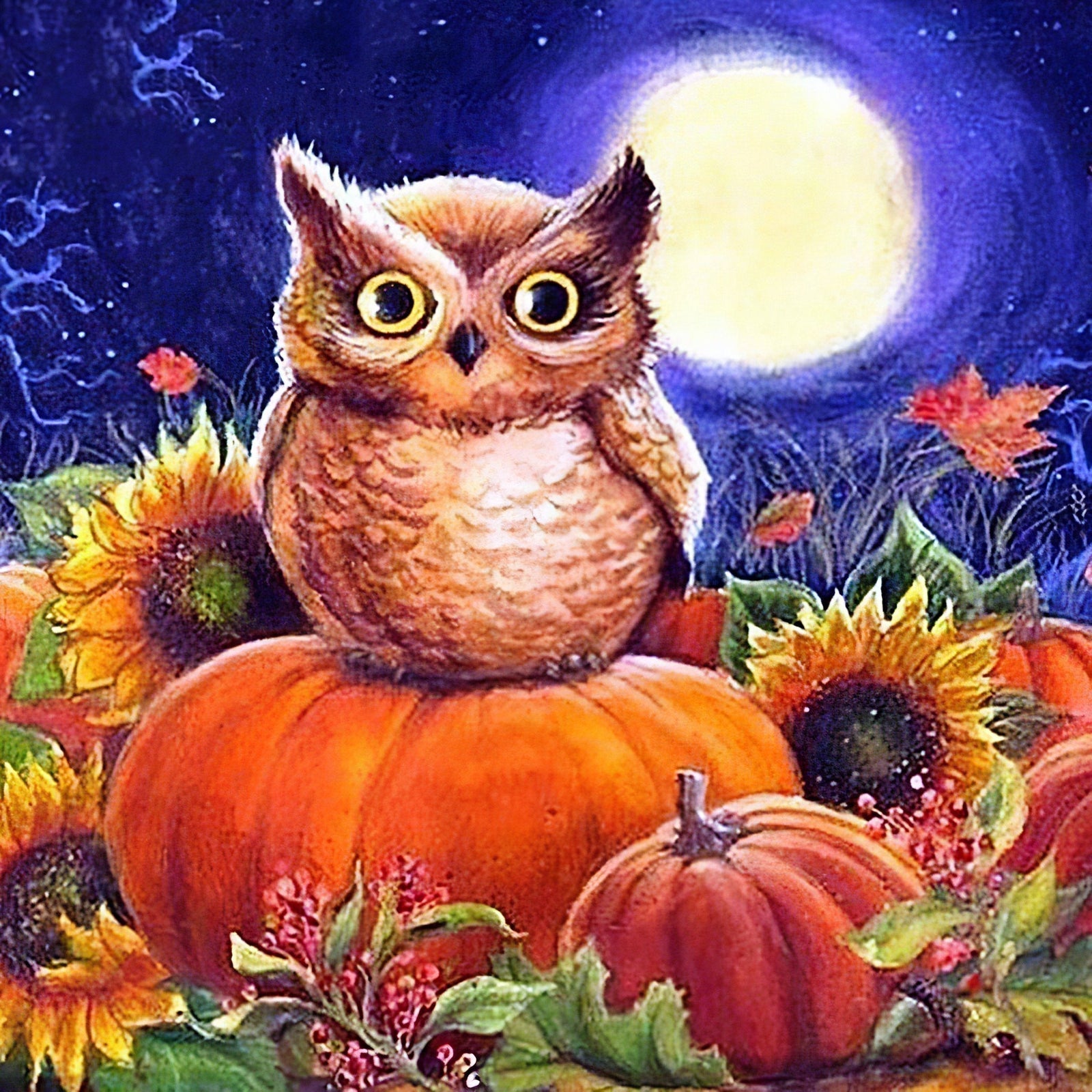 Diamond Paintings - Midnight Owl