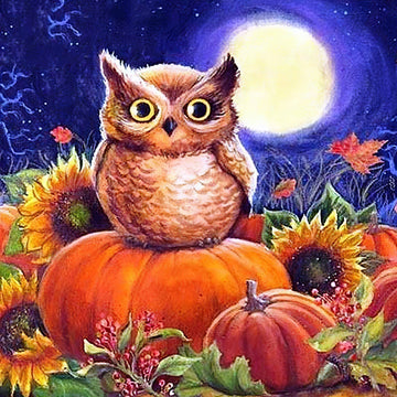 Diamond Paintings - Midnight Owl