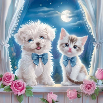 Paint by Numbers Kit - Moonlight Companions - White Curtains