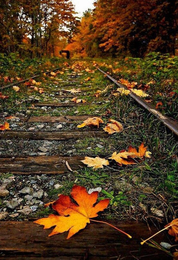 Diamond Paintings - Old Forest Train Line