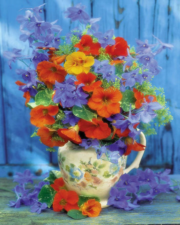 Paint by Numbers Kit - Orange and purple bouquet