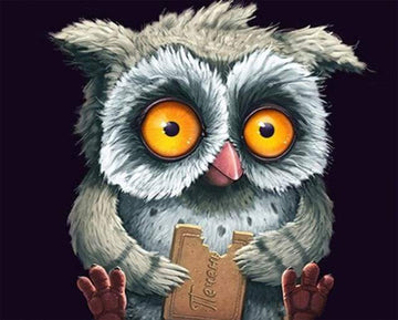Paint by Numbers Kit - Owl with a cookie