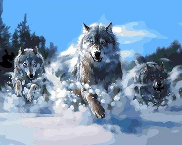Paint by Numbers Kit - Pack of Wolves in the Snow
