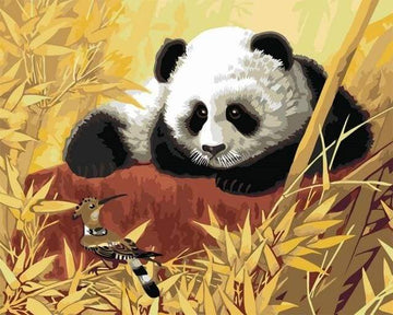 Paint by Numbers Kit - Panda And Bird