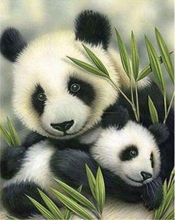 Paint by Numbers Kit - Panda Couple