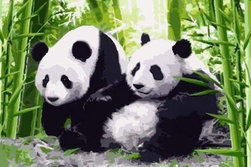 Paint by Numbers Kit - Pandas in Japan
