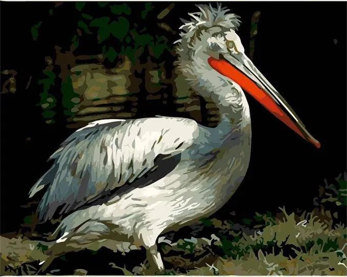 Paint by Numbers Kit - Pelican Bird