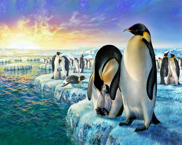 Paint by Numbers Kit - Penguins on the ice floe