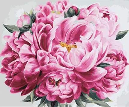 Paint by Numbers Kit - Pink Peony