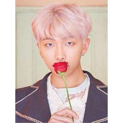 Diamond Paintings - RM BTS K-pop Kpop