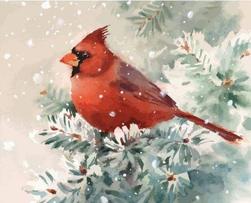 Paint by Numbers Kit - Red Bird and Snow