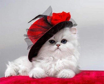 Paint by Numbers Kit - Red Hat Cat