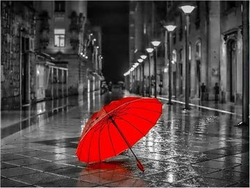 Paint by Numbers Kit - Red Umbrella