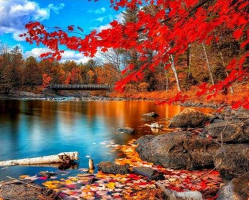 Paint by Numbers Kit - River and Autumn Forest