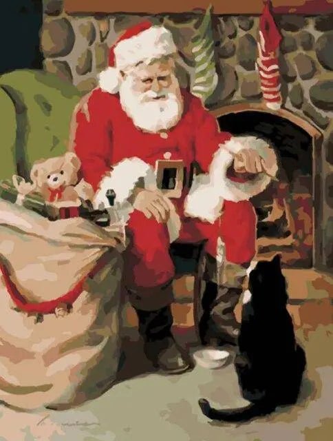 Paint by Numbers Kit - Santa Claus With A Cat