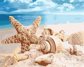 Paint by Numbers Kit - Sea Shells