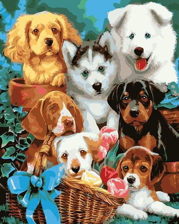 Paint by Numbers Kit - Small Dogs in a Basket