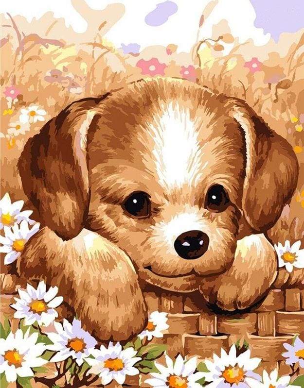 Paint by Numbers Kit - Small Puppy