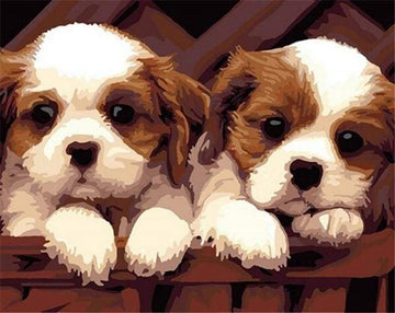 Paint by Numbers Kit - Small puppies