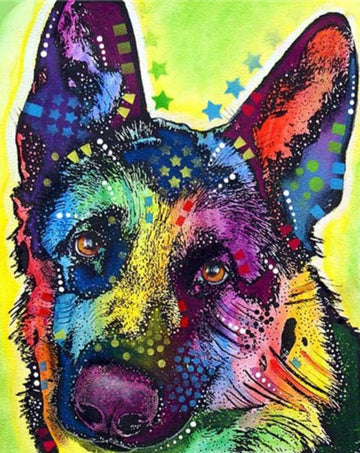 Paint by Numbers Kit - Star Dog