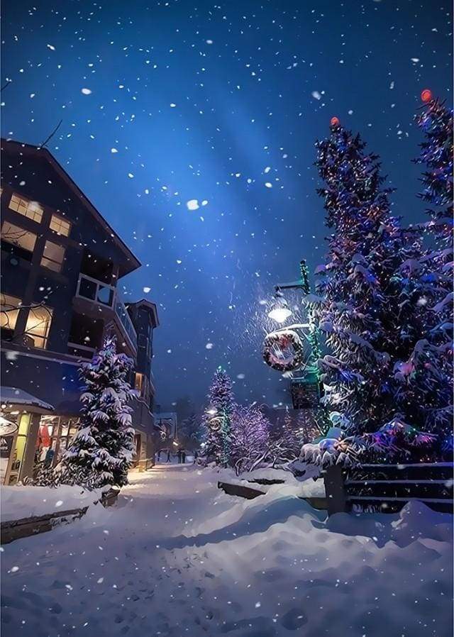Paint by Numbers Kit - Street On Christmas