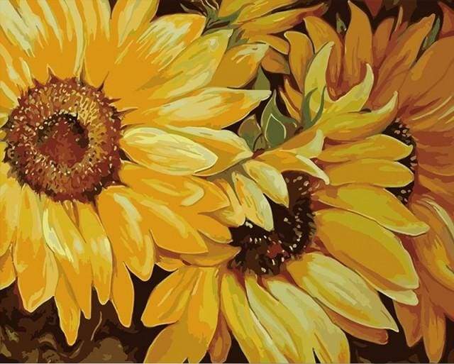 Paint by Numbers Kit - Sunflower In Full Bloom