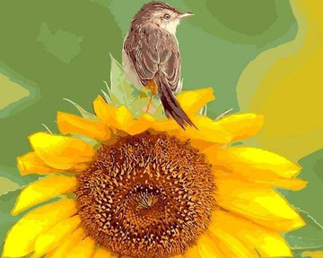 Paint by Numbers Kit - Sunflower and Bird