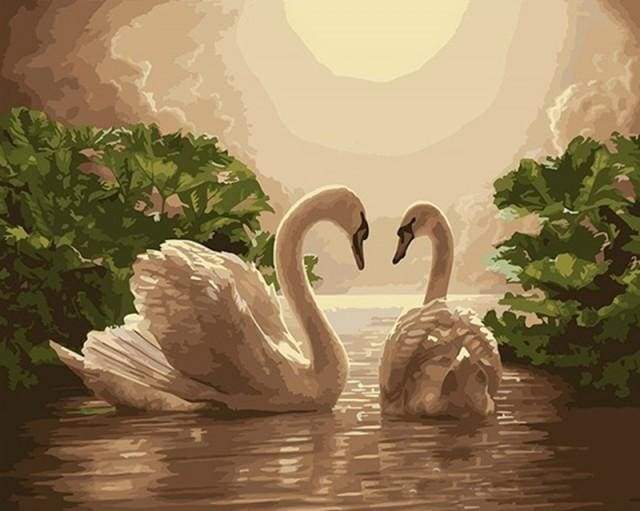 Paint by Numbers Kit - Swans at Sunset