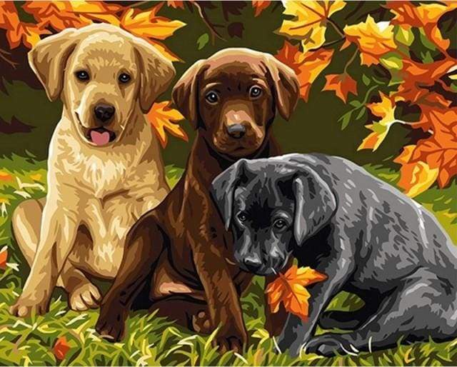 Paint by Numbers Kit - Three Dogs