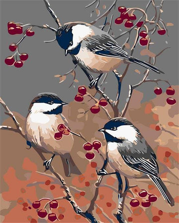 Paint by Numbers Kit - Three Friend Bird