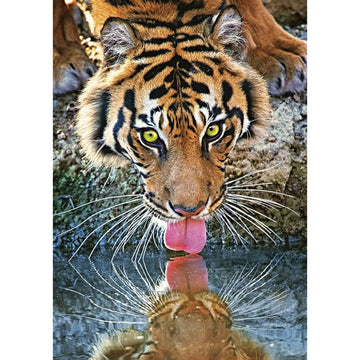 Diamond Paintings - Tiger Drinking Water