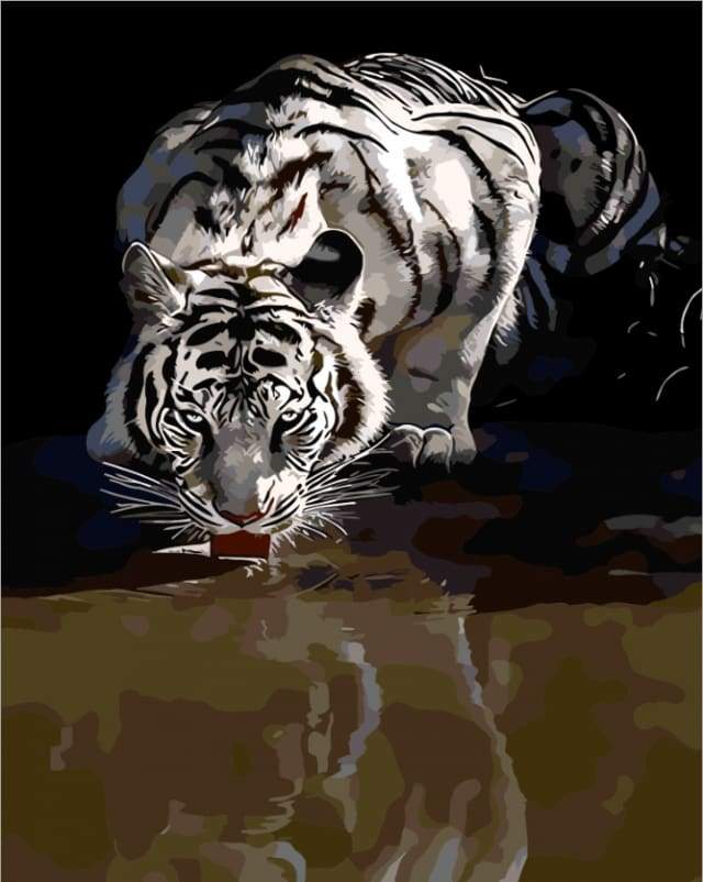 Paint by Numbers Kit - Tiger Reflection