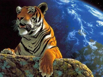 Paint by Numbers Kit - Tiger and earth