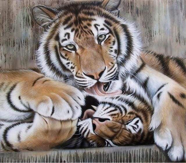 Paint by Numbers Kit - Tigers