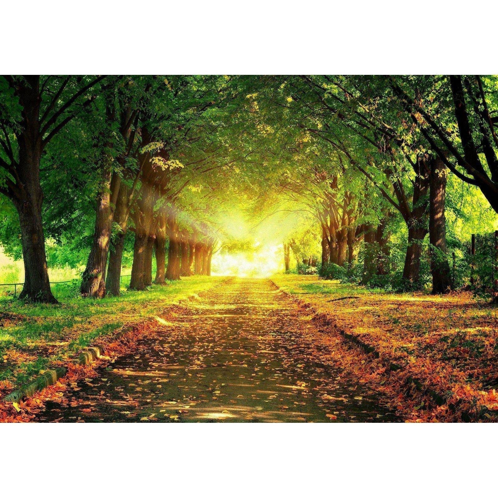 Diamond Paintings - Tree Road
