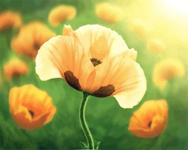 Paint by Numbers Kit - Tulips in full bloom
