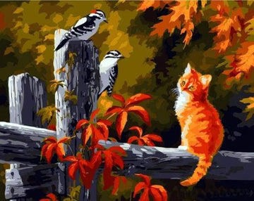 Paint by Numbers Kit - Two Birds And Cat