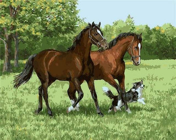Paint by Numbers Kit - Two Horses And Dog