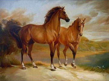 Paint by Numbers Kit - Two Horses by the Water