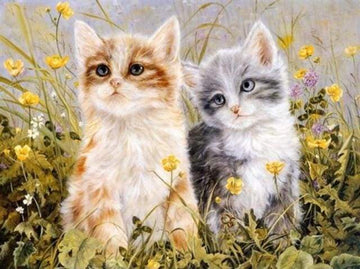 Paint by Numbers Kit - Two Kittens
