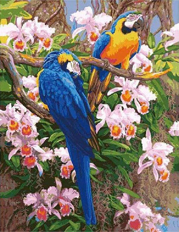 Paint by Numbers Kit - Two Parrots