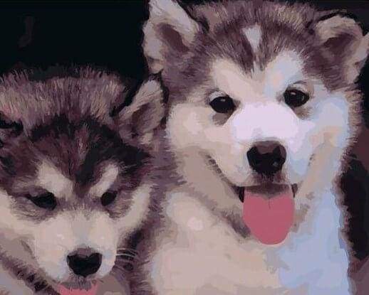 Paint by Numbers Kit - Two Puppies