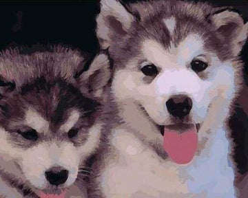 Paint by Numbers Kit - Two Puppies