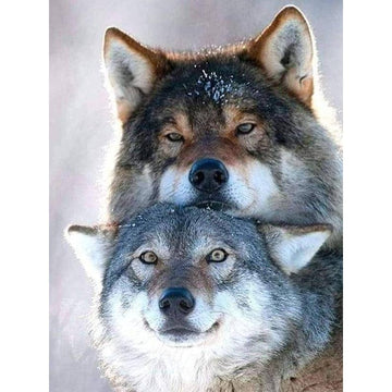 Diamond Paintings - Two Wolves