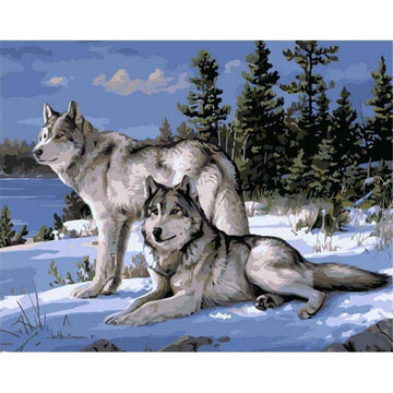 Paint by Numbers Kit - Two Wolves Looking Away