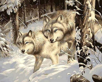 Paint by Numbers Kit - Two Wolves in the Snow