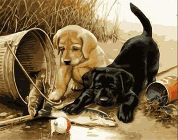 Paint by Numbers Kit - Two dogs playing
