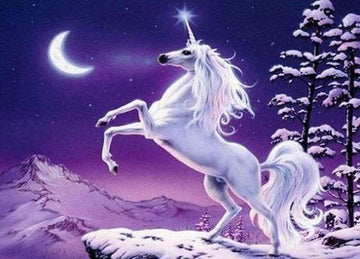 Paint by Numbers Kit - Unicorn and Moon